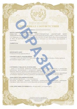 Образец Сертификат СТО 01.064.00220722.2-2020 Серов Сертификат СТО 01.064.00220722.2-2020 
